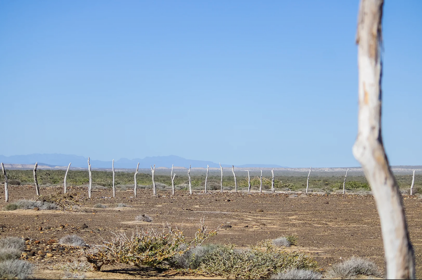 Lets Do Mexico Real Estate Altamar Let's Do Mexico Las Olas